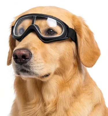 Produktbild von Hundeschutzbrillen für Hunde mit UV-Schutz und Schutz vor Wind und Staub