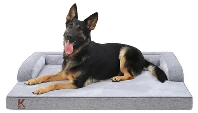 Immagine prodotto di Cuccia ortopedica per cani, colore grigio, dimensioni 119x81x19 cm. Imbottitura removibile e lavabile