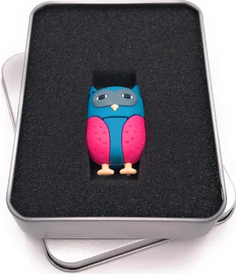 Produktbild von Onwomania Blau Pinke Eule Vogel niedlich USB Stick in Alu Geschenkbox 128 GB USB 3.0
