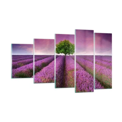 Produktbild von Bilder auf glas - Wiese lavenda Sommer Landschaft - 100x60cm - Glasbilder - Wandbilder - Kunstdruck - zum Aufhängen bereit - Wanddekoration aus Glas - Glas Bilder - Wandbild auf Glas - GEG100x60-2605
