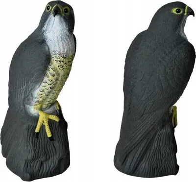 Image de Répulsif oiseaux - faucon