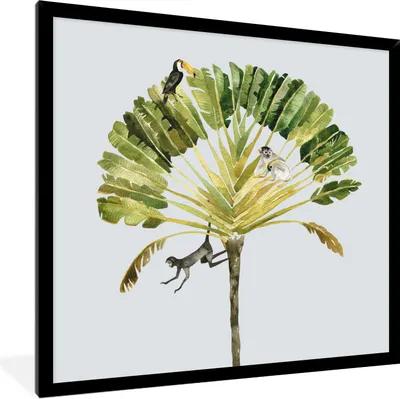 Produktbild von MuchoWow® Gerahmtes Poster Dschungel - Affe - Tukan 40x40 cm - Poster mit Schwarzem Bilderrahmen Wandposter Rahmen Foto Bilder - Mit Rahmen - Wanddekoration Schlafzimmer
