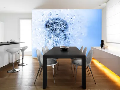 Produktbild von Vlies Fototapete 400x280 cm Tapeten Wandtapete XXL Pusteblume Natur b-B-0043-a-d