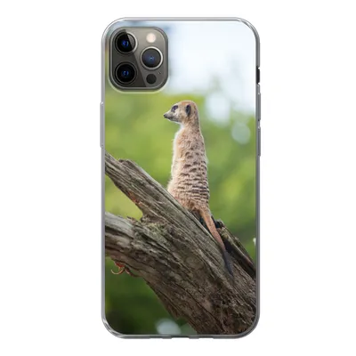 Produktbild von MuchoWow® Handyhülle Schutzhülle Hülle für iPhone 13 Pro Max Erdmännchen - Ast - Baum Silikon Softcase Handy Hülle - Mobiltelefon