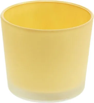 Produktbild von Eleganter Glasblumentopf für stilvolle Dekorationen