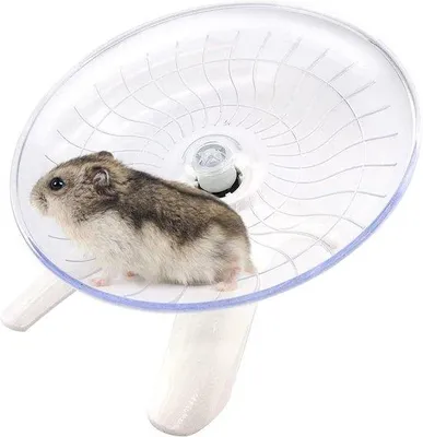 Produktbild von Leises Hamster-Rad-Spielzeug weiß für Kleintiere