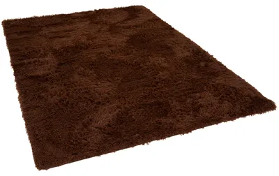 Produktbild von Fluffy Shaggy Teppich – Hochflor weich & flauschig, Größe:60x90 cm, Farbe:Dunkelbraun