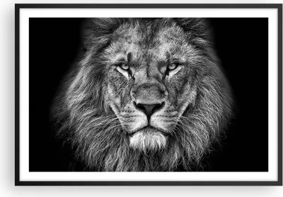 Produktbild von Gerahmtes Poster - Schwarzer Rahmen - Porträt Löwe Schwarzweiß - 91,5x61 cm - Wand Bild - Wanddeko - Wandbilder - Kunstposter - Wandposter - Bilderrahmen - Bilder - Kunstdruck - P2BAA91x61-4494