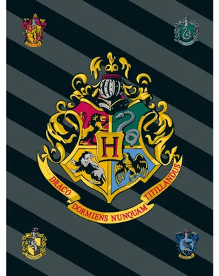 Produktbild von Fleecedecke 100x140 Harry Potter