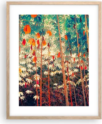 Produktbild von Gerahmtes Poster - Rahmen in heller Eiche - Pflanzen tropisch orange - 40x50 cm - Wand Bild - Wanddeko - Wandbilder - Kunstposter - Wandposter - Bilderrahmen - Bilder - Kunstdruck - P2NPA40x50-4393