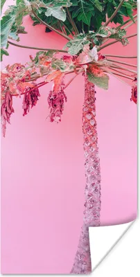 Produktbild von MuchoWow® Poster Palme - Tropisch - Rosa - Sommer 60x120 cm - Wandschmuck