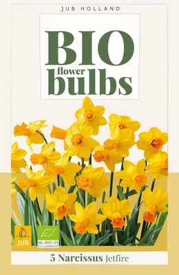 Productafbeelding van Narcissus jetfire  bloembol JUB 5 stuks