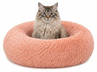 Produktbild von lionto Donut Katzenkissen, rundes Bett mit Plüschbezug & Anti-Rutsch-Boden, erhöhter Rand für Geborgenheit, 50 cm Durchmesser, rosa