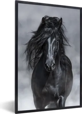 Produktbild von MuchoWow® MuchoWow® Gerahmtes Poster Pferd - Grau - Schwarz 60x90 cm - Poster mit zchwarzem Bilderrahmen - Kunst