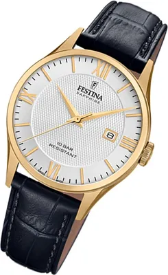 Image de Festina - F20010/2 - Montre-bracelet - Hommes