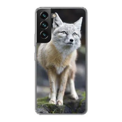 Produktbild von MuchoWow® Handyhülle Schutzhülle Hülle für Samsung Galaxy S22 Fuchs - Makro - Baum Silikon Softcase Handy Hülle - Mobiltelefonhülle
