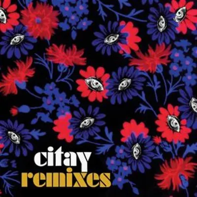 Produktbild von Citay-Remixes