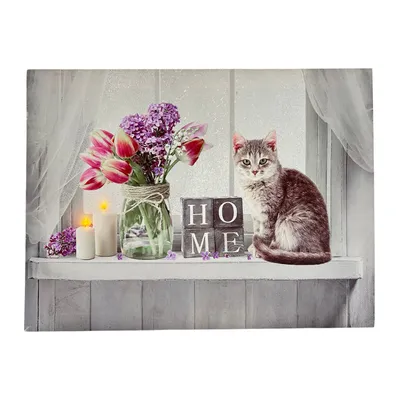 Produktbild von abc HOME | Wandbild mit Beleuchtung | Katze | 40 cm B
