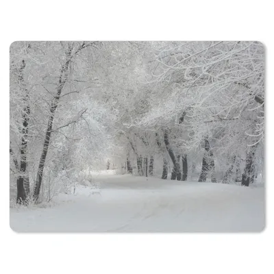 Produktbild von MuchoWow® Mauspad Mousepad Bäume - Schnee - Winter 23x19 cm - Mousepads - Maus Mat - Pad - Mausunterlage - Schreibtischunterlage - Mauspad