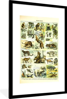 Produktbild von MuchoWow® Gerahmtes Poster Tiere - Affe - Bären 60x90 cm - Poster mit Schwarzem Bilderrahmen Wandposter Rahmen Foto Bilder - Dekoration - Wandposter Wohnzimmer - Hochwertig