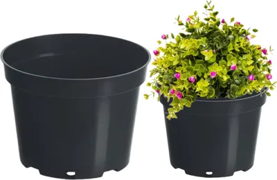 A black plastic plant pot is shown next to a black plastic plant pot containing a green plant with pink flowers.