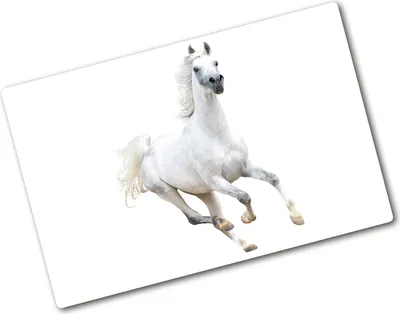 Produktbild von Tulup Glas Herdabdeckplatte - 80x52 cm - Glaskeramikkochfeld-Abdeckung Spritzschutz Glasabdeckplatte - Einteilig - Tiere - Arabisches Pferd - Weiß