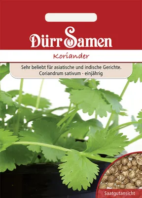 Produktbild von Dürr-Samen - Koriander - Saatgut - 0198