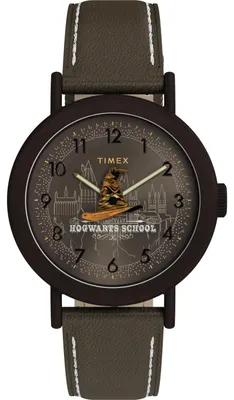 Image de Montre Timex pour homme/femme, marron, Timex-TW2Y77000