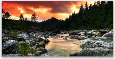 Produktbild von Tulup Leinwand-Bilder 140x70 Wandbild Canvas Kunstdruck See Steine Wald Natur