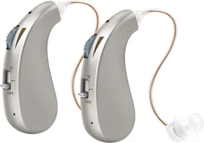 Two silver and gray hearing amplifiers are shown against a white background.