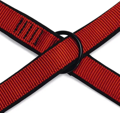 Produktbild von Beeztees Parinca Premium - Hundeleine - Nylon - Rot - 200 cm x