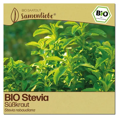 Produktbild von Samenliebe Stevia Samen | Süßkraut - mehrjährig & sehr süß - samenfestes Saatgut