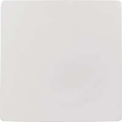 Image de Rosenthal Assiette carrée plate 27 cm Jade Blanc 61040-800001-16187
