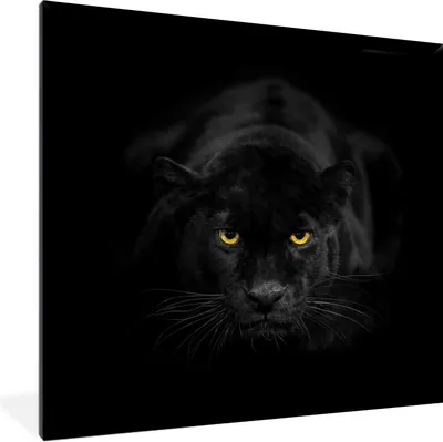 Produktbild von MuchoWow® Gerahmtes Poster Leopard - Augen - Schwarz 40x40 cm - Poster mit Schwarzem Bilderrahmen Wandposter Rahmen Foto Bilder - Mit Rahmen - Wanddekoration Schlafzimmer