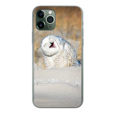Produktbild von MuchoWow® Handyhülle Schutzhülle Hülle für iPhone 11 Pro Eule - Schnee - Düne Silikon Softcase Handy Hülle - Handy