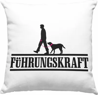 Produktbild von Trendation - Führungskraft Deko-Kissen mit Füllung 40x40 Hundebesitzer Hundebesitzerin Geschenk Gassi Gehen Hunde Deko-Kissen mit Füllung 40x40 Herrchen (Grau)