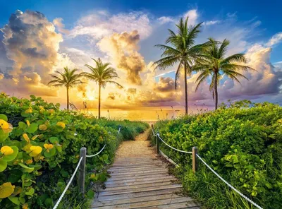 Produktbild von Castorland Puzzle Miami USA - Landschaft 3000 Teile Jigsaw