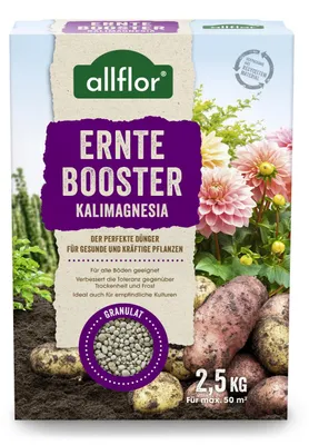 Produktbild von Allflor Dünger Erntebooster Kalimagnesia 2,5 kg