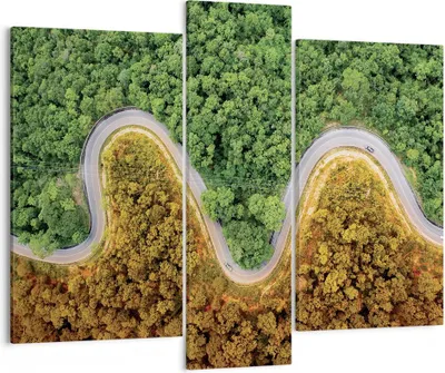 Produktbild von Bild auf Leinwand - Leinwandbild - 3 Teile - Luftaufnahmen Weg Wald - 95x80cm - Wand Bild - Wanddeko - Wandbilder - Leinwanddruck - Bilder - Wanddekoration - Leinwand bilder - Wandbild - CB95x80-4659