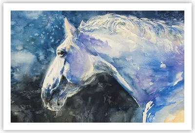 Produktbild von Poster - Poster ohne Rahmen - Pferd Aquarell Porträt - 91,5x61 cm - Wand Bild - Wanddeko - Wandbilder - Kunstposter - Wandposter - Bilder - Kunstdruck - Wanddekoration - Wandbild - P2XAA91x61-4272