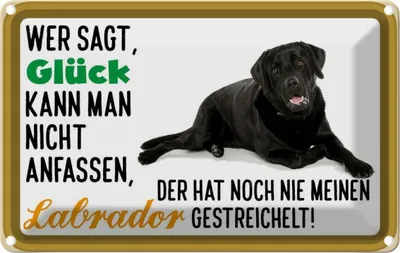 Produktbild von vianmo Blechschild 12x18 cm Glück nicht anfassen Labrador Dekoration Hund