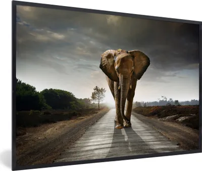 Produktbild von MuchoWow® MuchoWow® Gerahmtes Poster Elefant - Natur - Straße 60x40 cm - Poster mit zchwarzem Bilderrahmen - Printing - Wanddeko Schlafzimmer