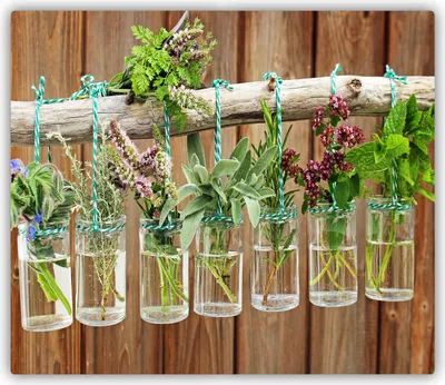 Produktbild von Tulup Glas Herdabdeckplatte Glaskeramikkochfeld-Abdeckung Spritzschutz Glasabdeckplatte Kochplattenabdeckung und Schneidebrett - Einteilig - 60x52 cm Kräuter in Gläsern