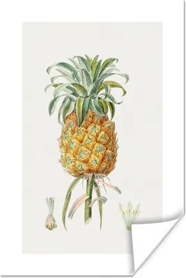 Produktbild von MuchoWow® Poster Ananas - Obst - Lebensmittel 120x180 cm - Kunstposter