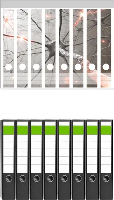 Produktbild von Wallario 8 Stück schmale Ordner inkl. Klebeetiketten mit Motive Menschliche Nervenzelle -  Set mit Rückenschildern / Ordnerrücken Stickern