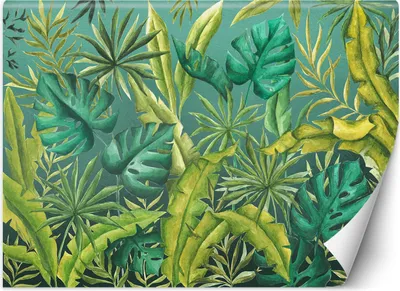 Produktbild von Vlies fototapete Monsterblätter 254x184 cm Feeby Grün inkl. Kleber einfache Montage