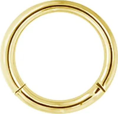 Immagine prodotto di Karisma Titan Gold G23 Anello elicoidale a scatto con segmentazione a cerniera Charnier/Septum - 1,2x7mm