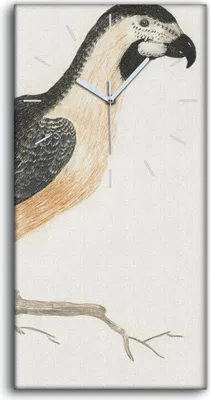 Produktbild von Wandkunst Leinwand Bild Uhr Geräuschlos 30x60 Zeichnung Tier Vogel Zweig Kunst - weiße Hände