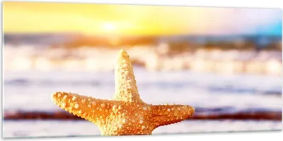 Produktbild von Bilder auf glas - Starfish Strand Sand Ozean - 120x50cm - Glasbilder - Wandbilder - Kunstdruck - zum Aufhängen bereit - Wanddekoration aus Glas - Glas Bilder - Wandbild auf Glas - GAB120x50-2815
