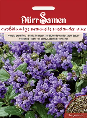 Produktbild von Dürr-Samen - Prunella Braunelle blau gefärbte Blüten mehrjährig 15 cm - Saatgut - 1083